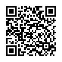 QR VT IMPULS AD KKL2 VI p/l gFs schwarz