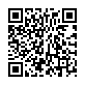 QR VT IMPULS AD KKL3 I n/l gFs caramel