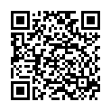 QR VT IMPULS AD KKL3 VI n/s gFs schwarz