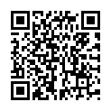 QR VT IMPULS AD KKL3 III n/l gFs schwarz