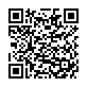 QR VT IMPULS AD KKL3 V p/s gFs schwarz