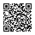 QR VT IMPULS AD KKL3 VI p/l gFs schwarz