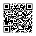 QR BORT ManuStabilPro S offene Form links grau