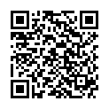 QR ARYA Atemschutzmaske FFP2 blau