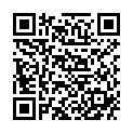 QR SPAGYROS SPAGYR Lobelia inflata