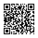 QR Чайные пакетики SIROCCO Genmaicha