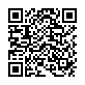 QR Сменное резиновое средство для мытья окон HA-RA, стандарт 32 см.