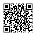 QR VEGGIEPUR овощной бульон/бульон органический