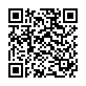 QR Bauckhof Flammkuchen без глютена 2 x 200 г