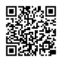 QR HÄNS Fluoresceinum natricum purum