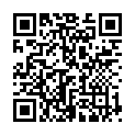 QR BORT Trend AG KKL2 VII gesch ku sch Spitze