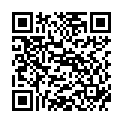 QR BORT 100 AG KKL2 VI offen w-n schw Nopp