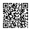 QR BORT 100 AG KKL2 III geschl norm schw Nopp