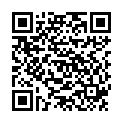 QR BORT 100 AG KKL2 VII geschl norm schw Nopp