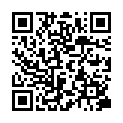 QR BORT 100 AG KKL2 I geschl kurz schw Nopp