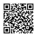 QR BORT 100 AG KKL2 IV geschl w-k schw Nopp