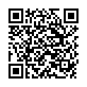 QR BURGERSTEIN Eisen vegan Thekendisplay 6Stk