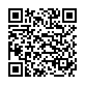 QR Herba Rundhaarburste Olivenholz