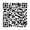 QR Herba Baby Haarburste Buchenholz